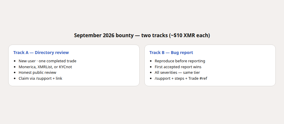 Two-column diagram comparing Track A directory review bounty and Track B first bug report bounty.