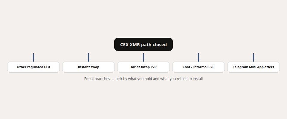 Flowchart: after a CEX delists XMR, five equal branches — other CEX, instant swap, desktop P2P, chat P2P, Telegram offers.
